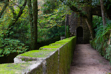 Obraz premium Moorish castle tower passage with moss on green area in Sintra, Portugal