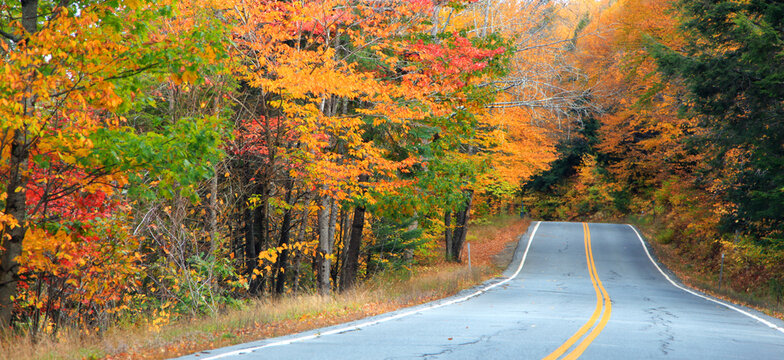Colorful autumn trees along scenic route in New Hampshire

