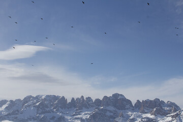 panorama delle Dolimiti da una vetta con nuvole basse