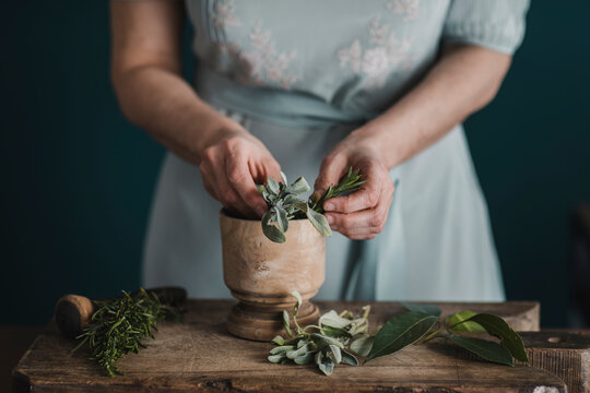 Closeup Of Woman's Hands Picking Fresh Herbs