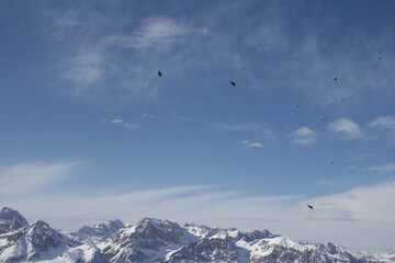 panorama delle Dolimiti da una vetta con nuvole basse