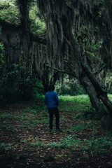 Man in the middle of the forest