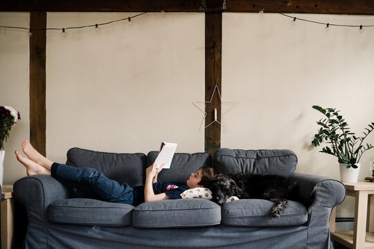 boy reading book on the sofa with his dog