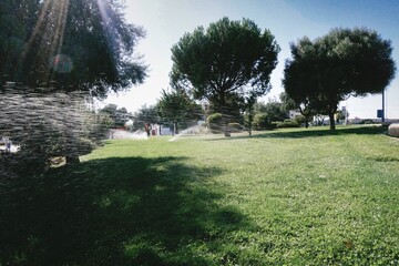 Salpicaduras regadío