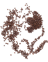 Flower made of coffee beans over white background
