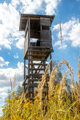 Hochsitz für Jäger im Wald vor blauem Himmel mit weißen Wolken