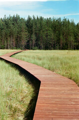 Wooden bridge over the swamp. Film photography.