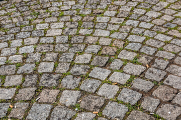 Road made of concrete paving stone and waste and grass