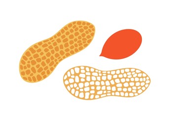 Peanut logo.  Isolated peanut on white background