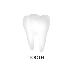 Icon realistic human tooth. Vector illustration eps 10