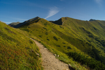 sunny path in the mountains