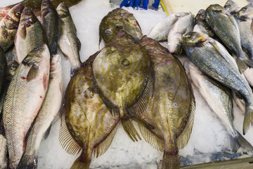 fresh fish in the Livramento market, Setubal, Portugal