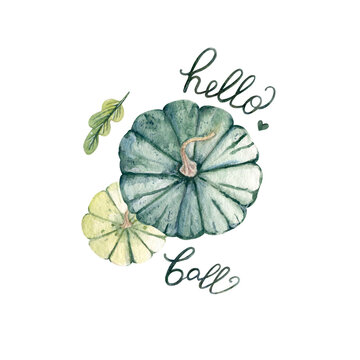 Watercolor autumn composition. Hand painted pumpkin on a white background. Autumn festival. Botanical illustration for design, print, cards, prints, invitations.