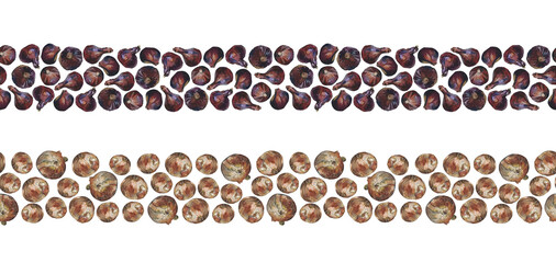 Purple and brown onion bulbs. Set of two seamless watercolour painted borders, isolated on white. For duct tape, cookbook, recipe, menu and packaging design.