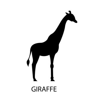 Giraffe black sign icon. Vector illustration eps 10