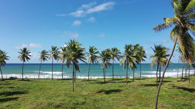 Coastal beach scene. Blue seascape view. Top view of coastal beach. Seascape scene. Itapua beach, Salvador, Bahia, Brazil. Palm trees view. Beach life scene. Palm trees scene. Itapua bech view.