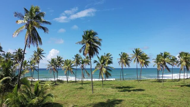 Coastal beach scene. Blue seascape view. Top view of coastal beach. Seascape scene. Itapua beach, Salvador, Bahia, Brazil. Palm trees view. Beach life scene. Palm trees scene. Itapua bech view.