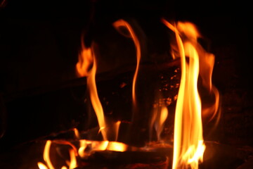 legna che brucia nel camino con fiamma