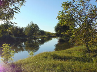 lake and trees