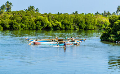 Fishermen check their nets in the lagoon in Negombo, Sri Lanka