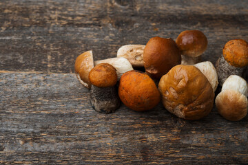 Seasonal forest porcini mushrooms on rustic background, copy space