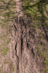 Tire tracks of mountain bikes on the muddy ground