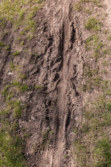 Tire tracks of mountain bikes on the muddy ground