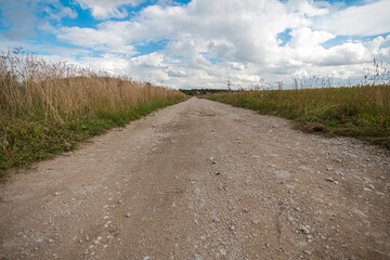 Fototapeta premium Guide lines to the sky, gravel country road, at the edges of the field