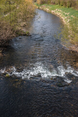 Little river through the green German countryside