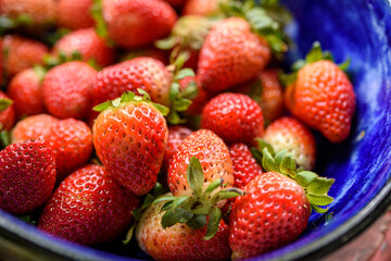 Strawberries on a blue clay brick.