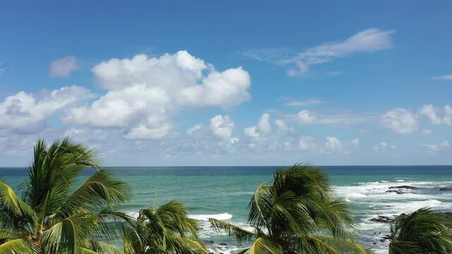 Coastal beach scene. Blue seascape view. Top view of coastal beach. Seascape scene. Itapua beach, Salvador, Bahia, Brazil. Palm trees view. Beach life scene. Palm trees scene. Itapua bech view.