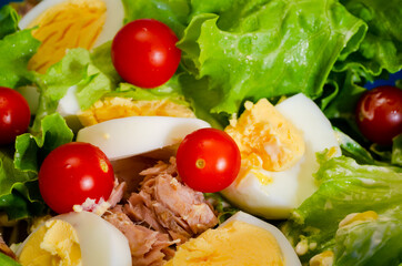 tuna salad with eggs and tomatoes