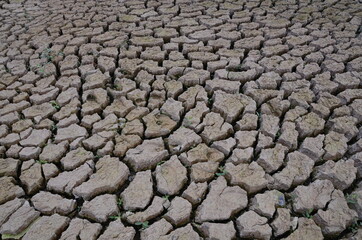 sécheresse terre craquelée