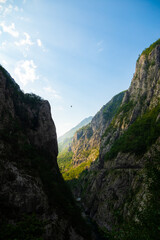 Fototapeta na wymiar Fantastic deep canyon with a river in montenegro, mountain landscape sunrise, travel and tourism in Europe