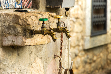 An animal shaped drinking tap next to a church and monastery in a mountain retreat