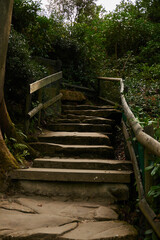 stairway in woods