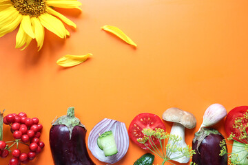 Banner with mushrooms and vegetables, sunflower flower with petals on an orange background, top view, space for text