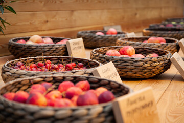 Fruits in baskets on autumn harvest festival. Text on tre plates means  types of  allpe variety