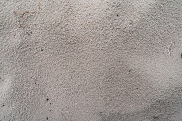 Wet gray sand on seashore texture