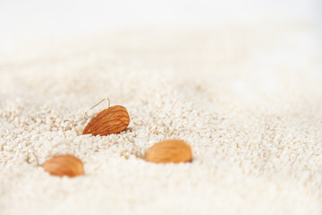 almond fishes in sesame sea