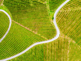 Aerial view over vineyard fields. Rolling hills nature landspace. Dreisiebner,slovenia , europe...