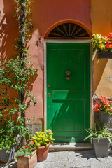 Fototapeta na wymiar A green entrance door on an orange wall surrounded by potted flowering plants, Italy