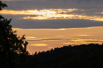 Tree line silhouette and evening sky with clouds near sunset. 