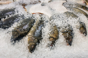 fresh fish on ice on a market counter close up