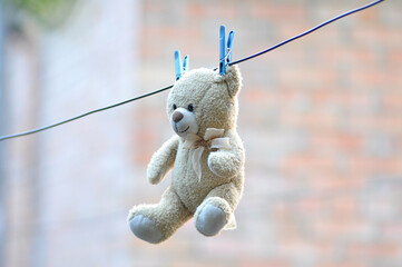 Teddy bear toy, gift plush dries on a rope