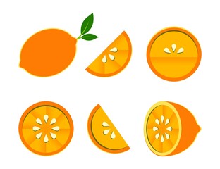 Orange tangerine grapefruit lemon lime on a white background. Vector illustration of summer fruits and citrus. Citrus icons silhouettes pictograms. Tropical fruit. Orange in parts. Orange slices