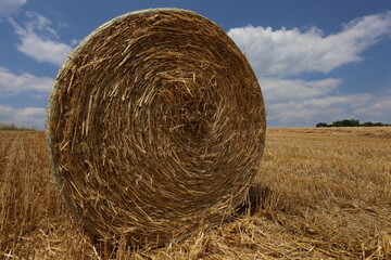 Strohballen