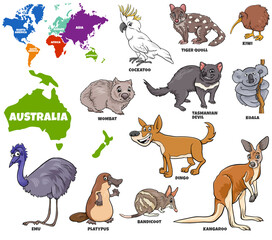 educational illustration of Australian animals set