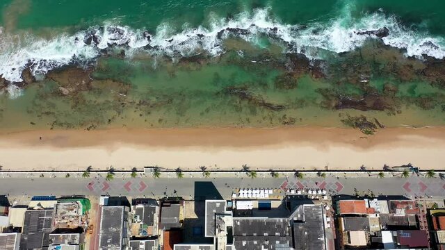 Seascape of paradisiac beach in Salvador, Bahia, Brazil. Beach scene. Beachfront view. Salvador, Bahia, Brazil. Beachfront scene. Seascape view. Seascape scene of beachfront. Paradisiac beach.