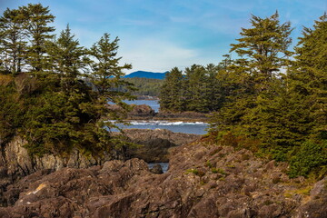 Fototapeta na wymiar West coast of Vancouver Island Rugged shoreline at wild pacific trail in Ucluelet, rocky islands partially overgrown with coniferous forest against the background of blue sky, British Columbia Canada 
